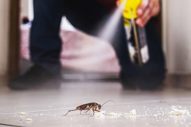Best Pest Control Near Me in Prattville, AL